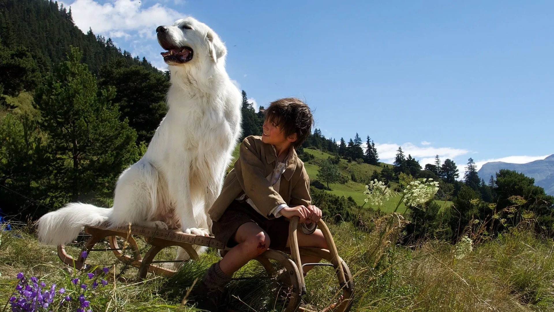 بێڵ و سباستیان : سەرکێشییەکە بەردەوامە