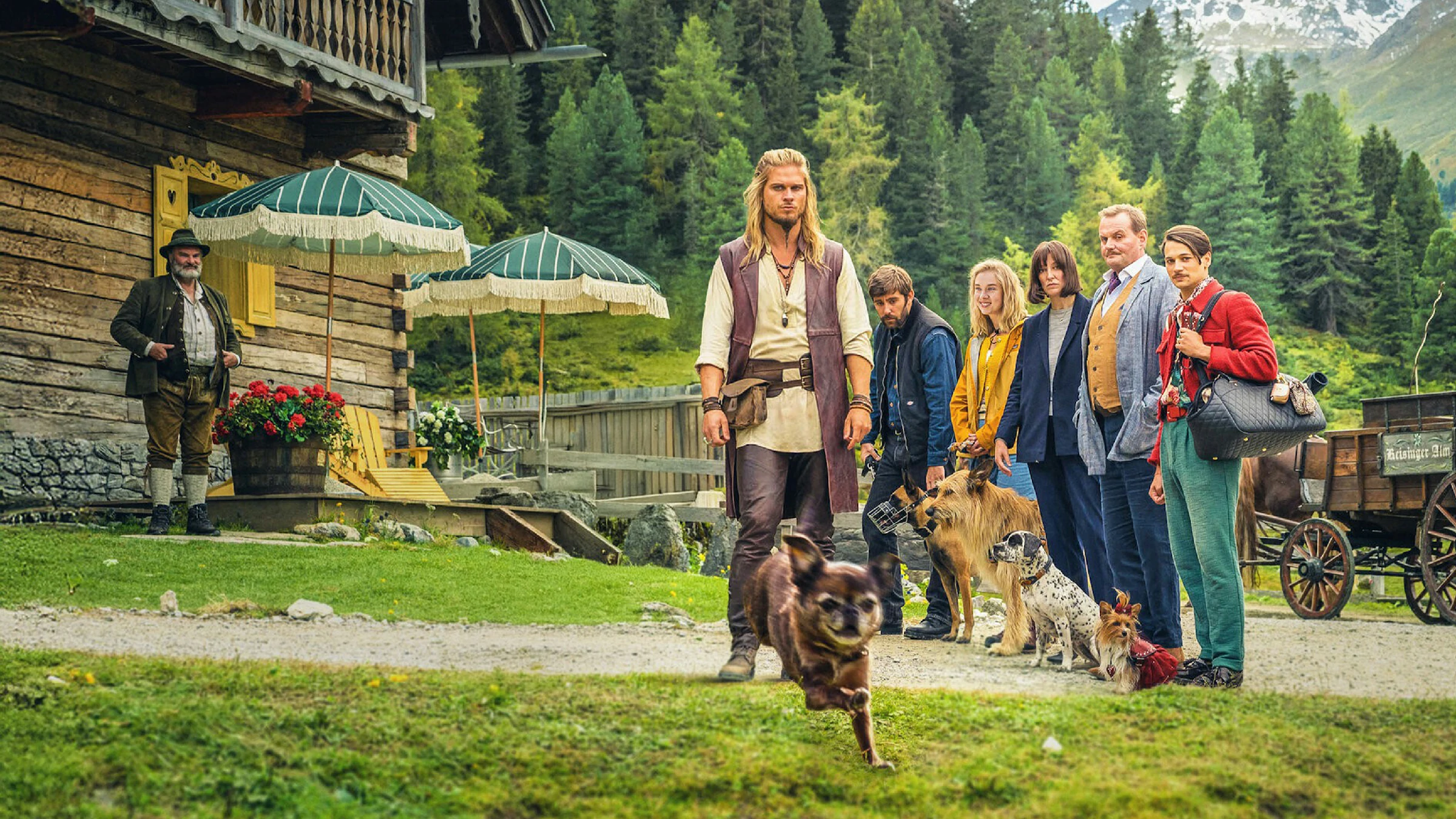 کەمپی ڕاهێنانی سەگ