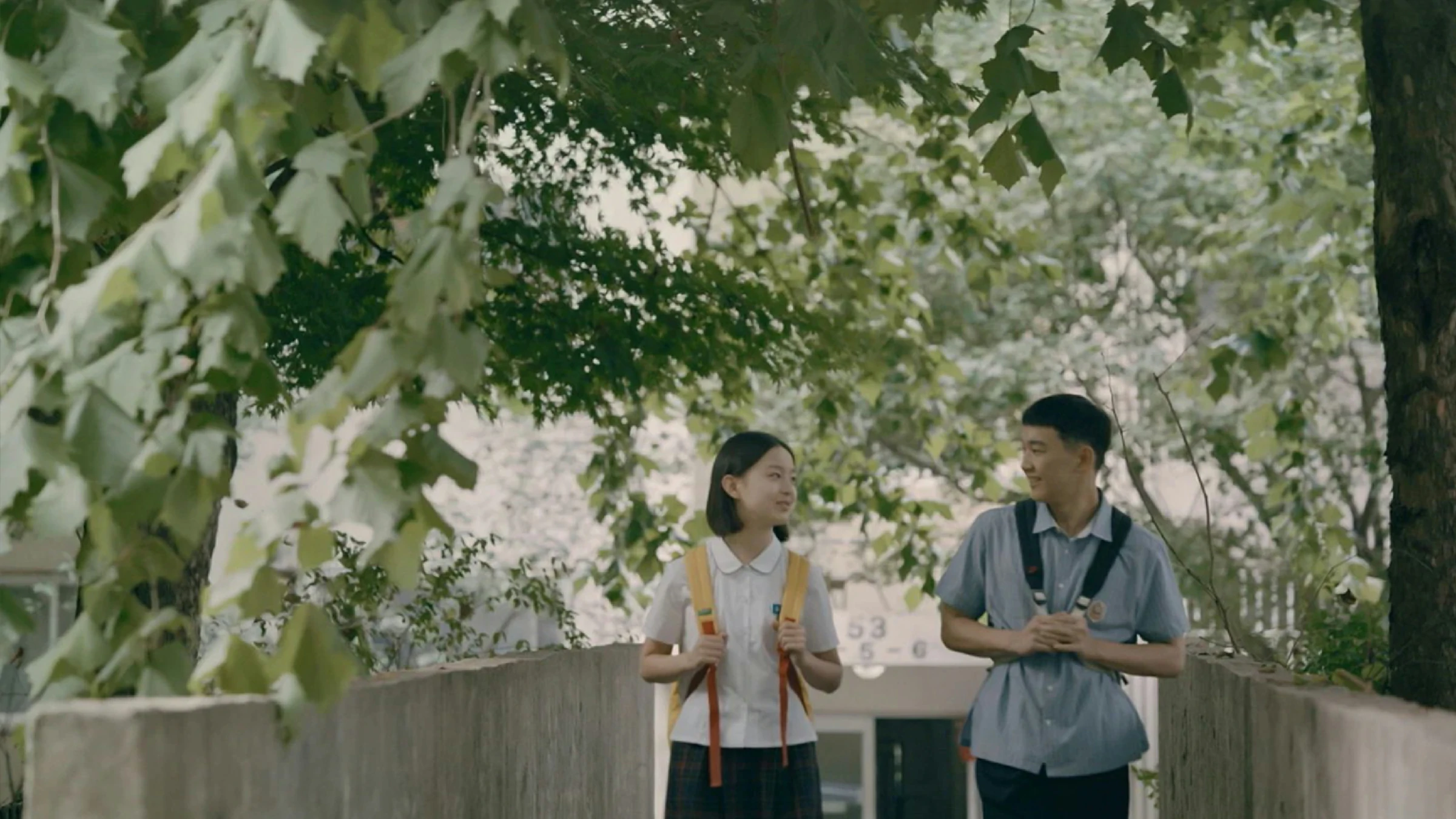 ماڵی باڵندە هەنگخۆرەکە