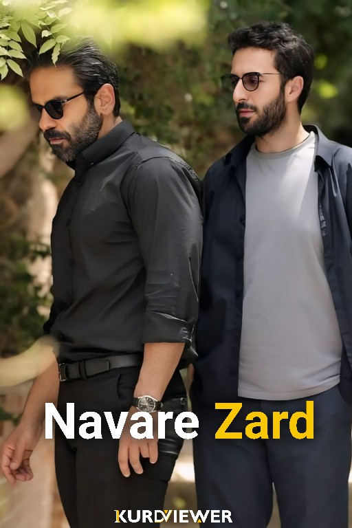 Navare Zard (2017)